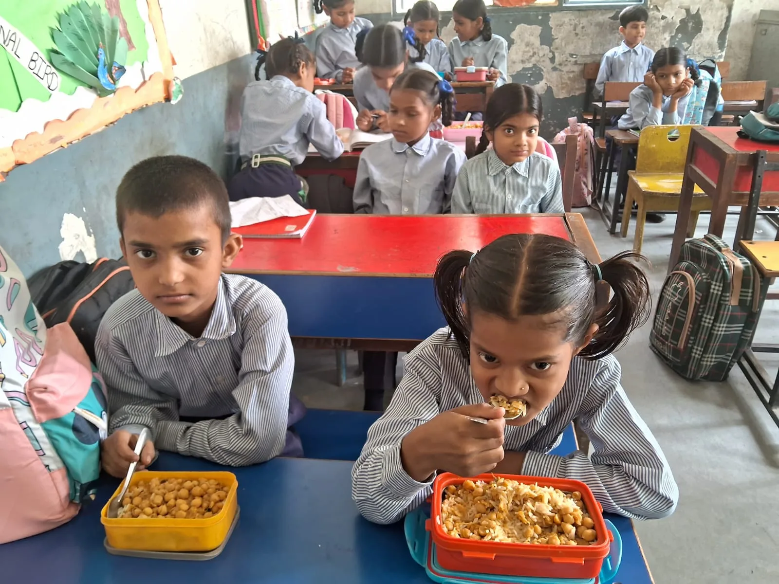 Midday Meal